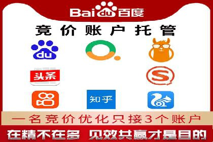 从小白到高手：网站sem托管的进化之路